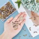 100db angyalszárny köztes. 4 szín mix. Ajándék doboz!